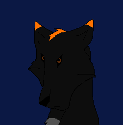 Kioto