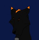 Kioto