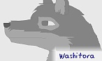 washitora