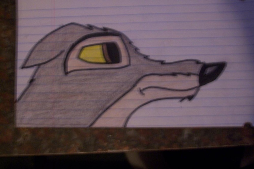 Balto