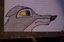 Balto