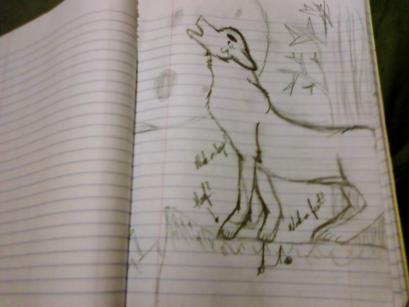 Howl