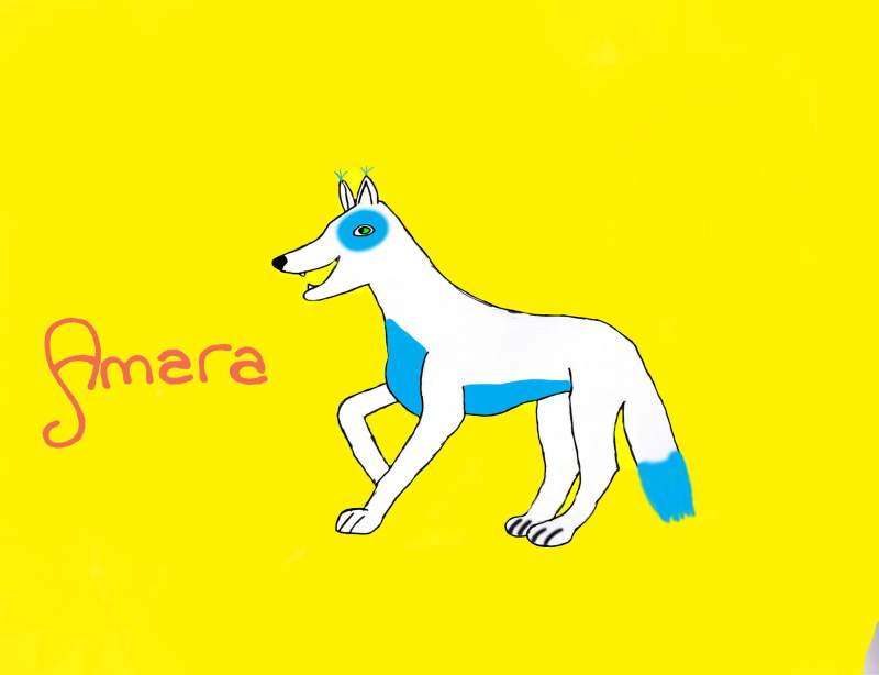 Amara