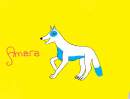 Amara