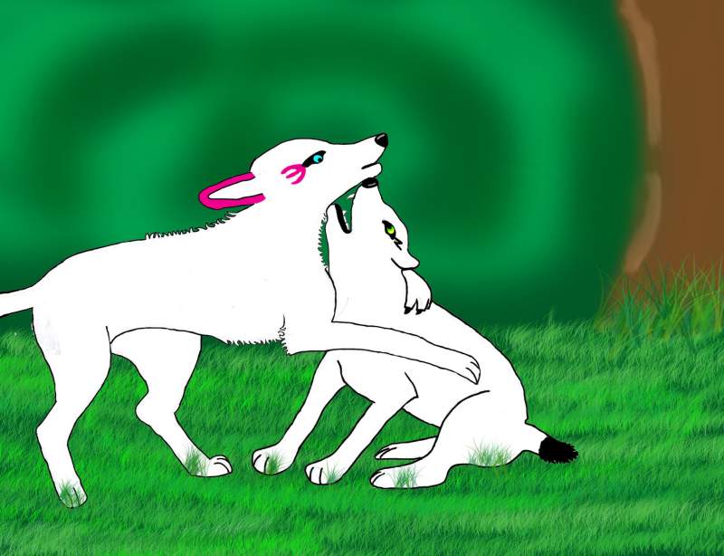 Kamaria and Tala
