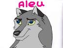 Aleu