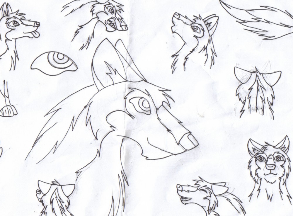 Its lotsa wulfies