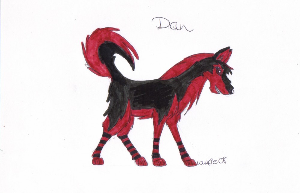 Dan