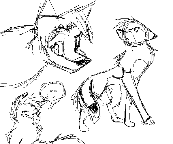 Sketches