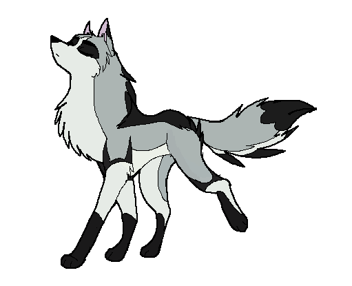 New character, Maori
