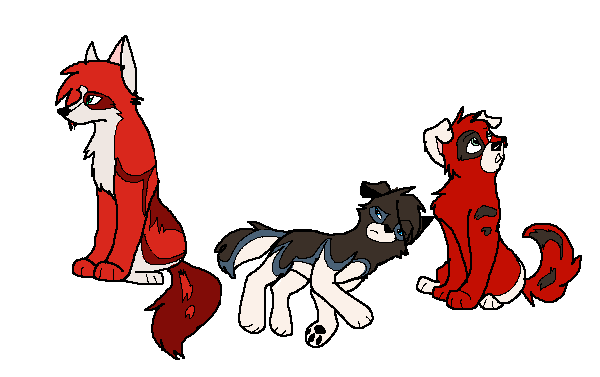 Yuki and Chaska had puppies. X3