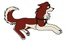 Midori 