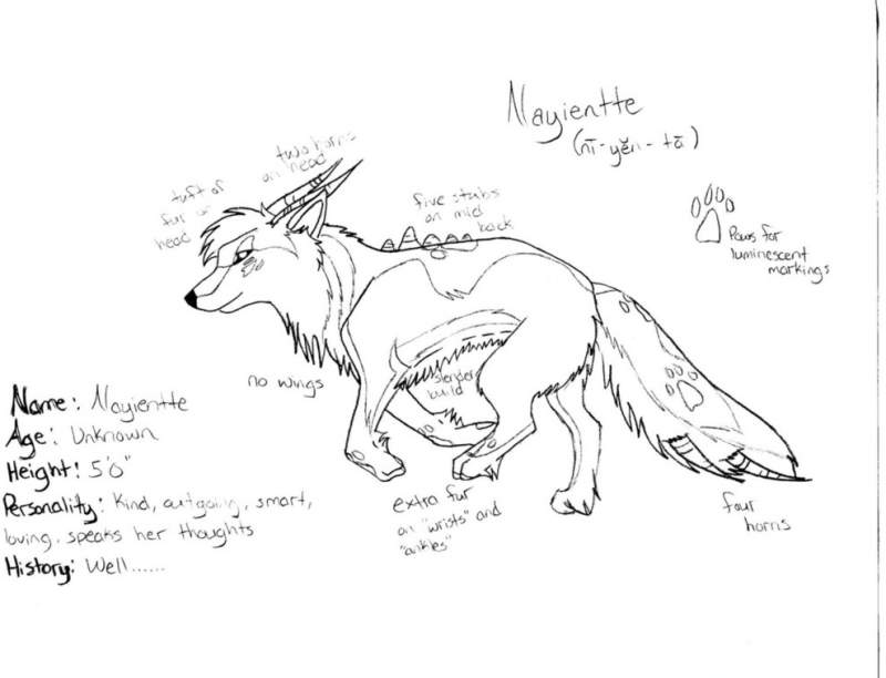 Nayientte