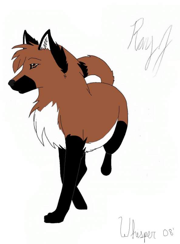 RayJ!