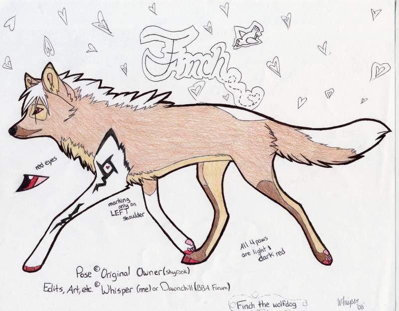 Finch!