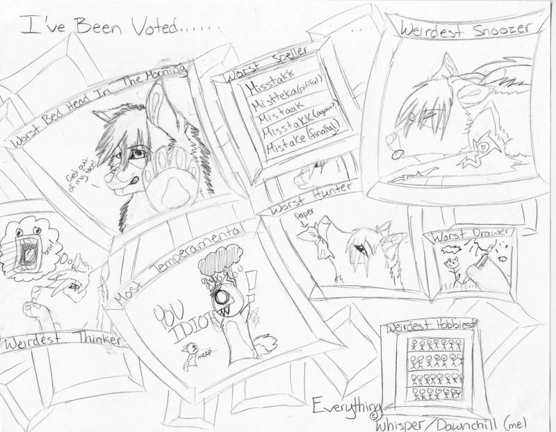 I've Been Voted.....