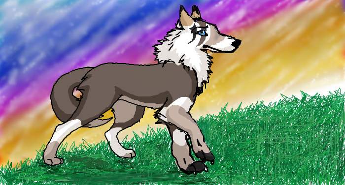 iScribble!
