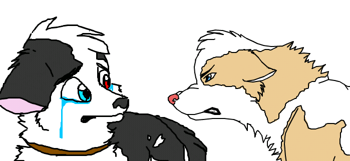 Family Feud