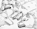 Wolf's Rain