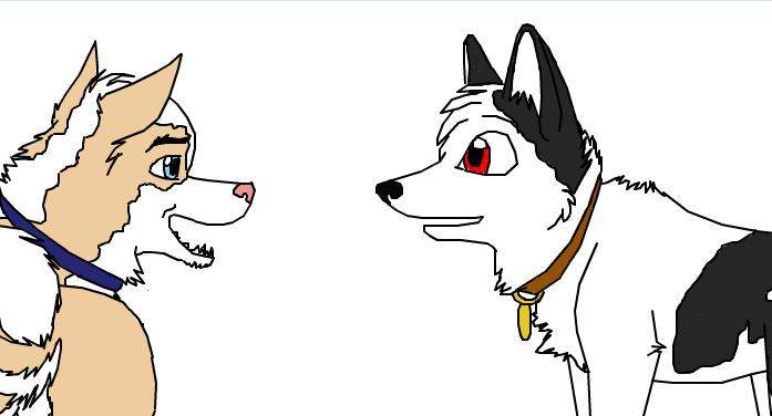 Maya and Ace