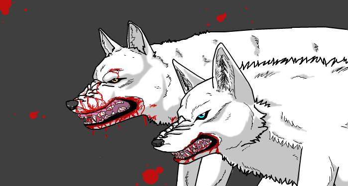 Shugorei and Amaya