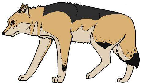 Fursona Idea #1