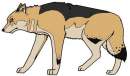 Fursona Idea #1