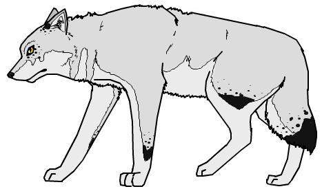 Fursona Idea #2