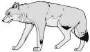 Fursona Idea #2