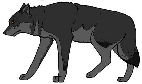 Fursona Idea #3