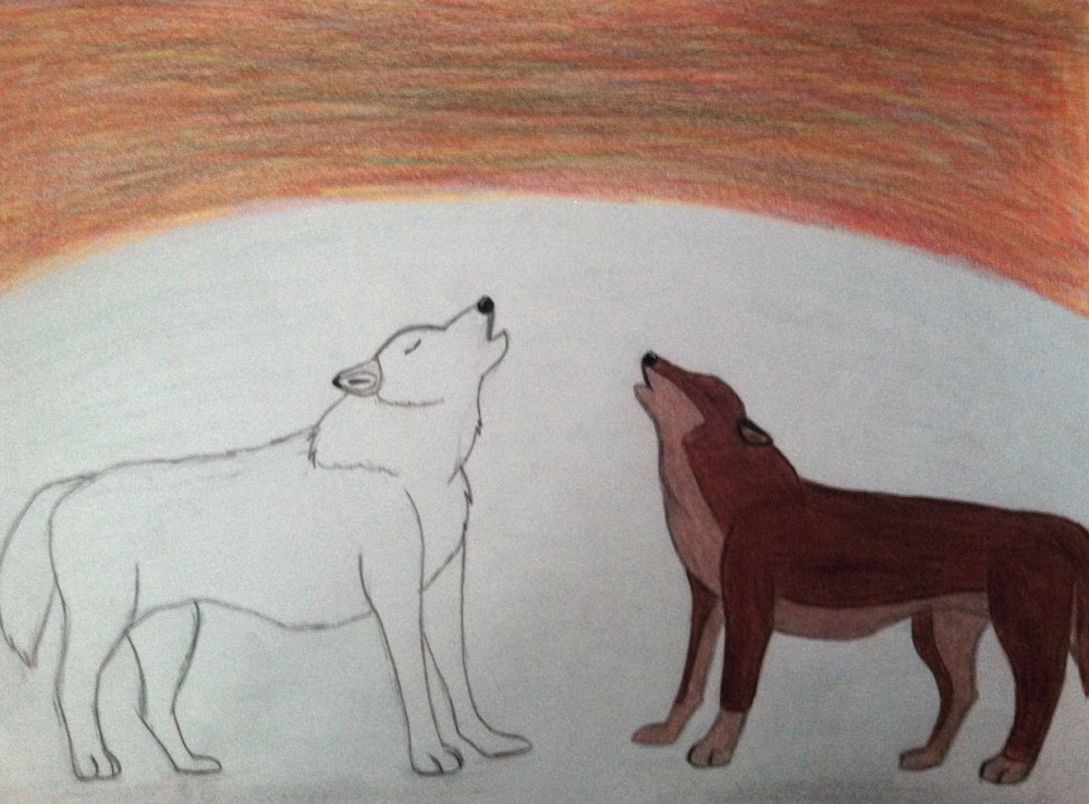 Aniu and Balto Howling
