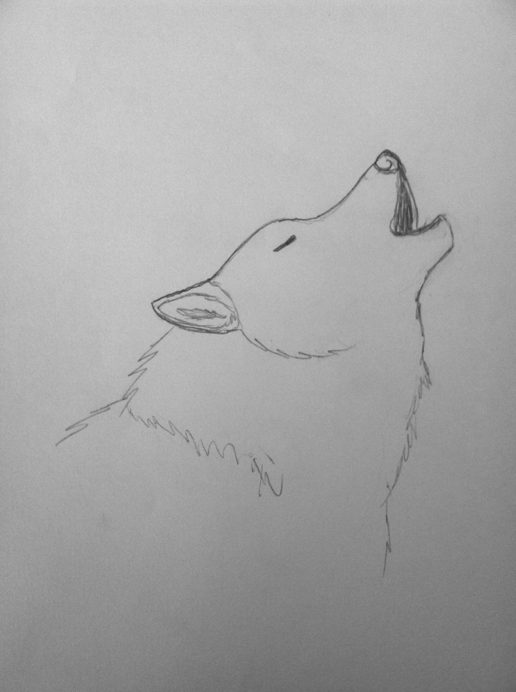 Realistic Wolf Practice 