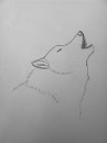 Realistic Wolf Practice 