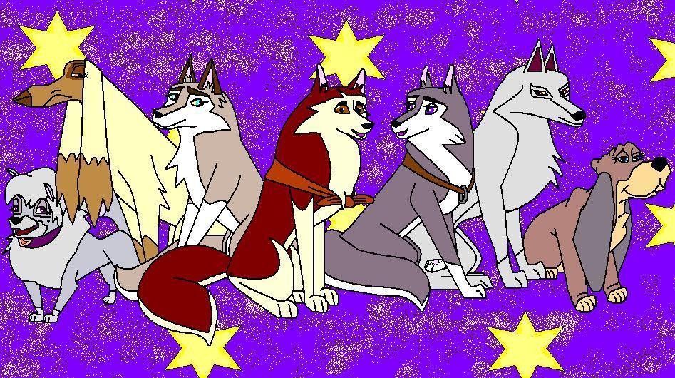 All the female dogs in Nome.