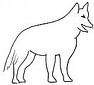 a wolf