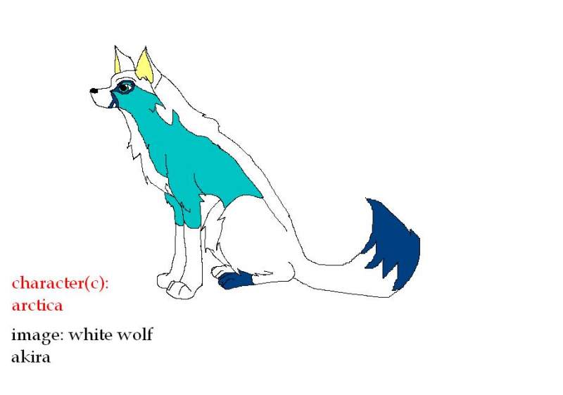 gift: arctica