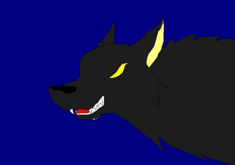 shadow