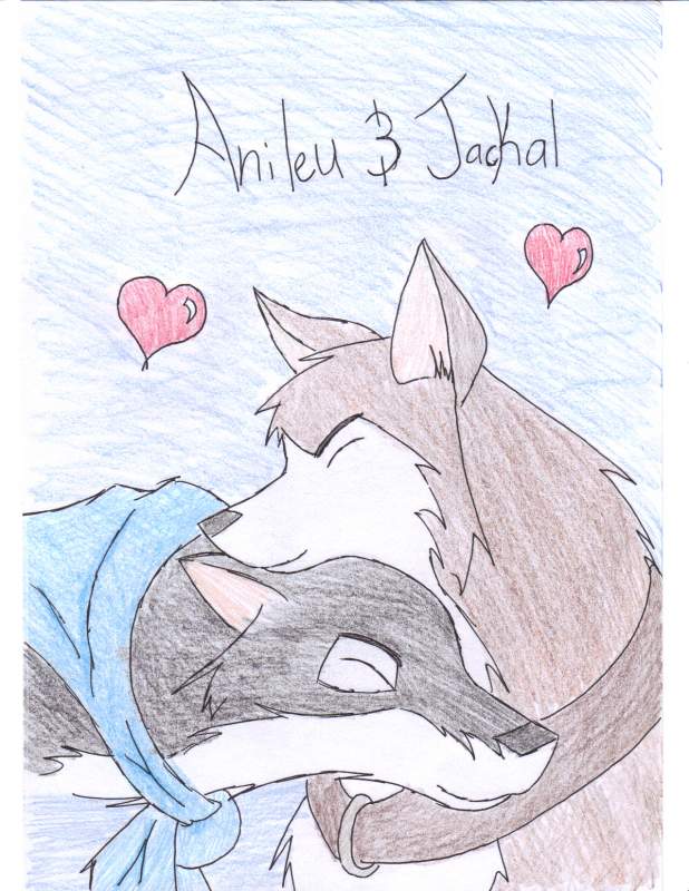 for anileu's contest
