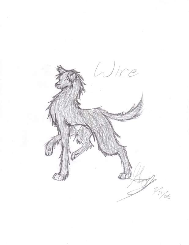 wire