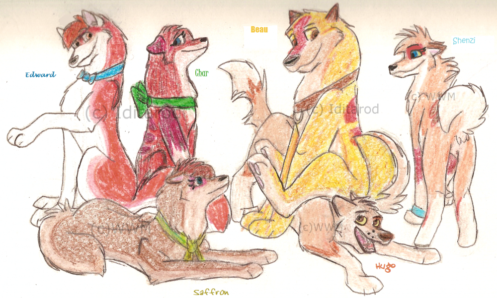 Scanner killed. T_T