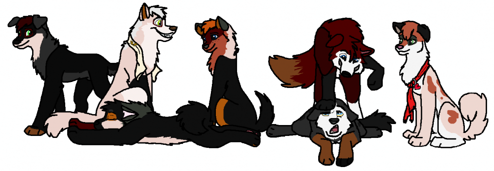 Wow...lots o' pups. O8
