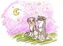 Request from Claire Cooper