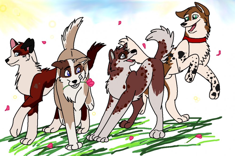 The Four in a tulip meadow. :] 