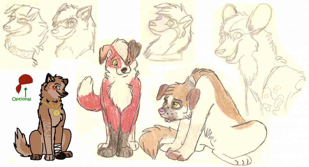 Scraps