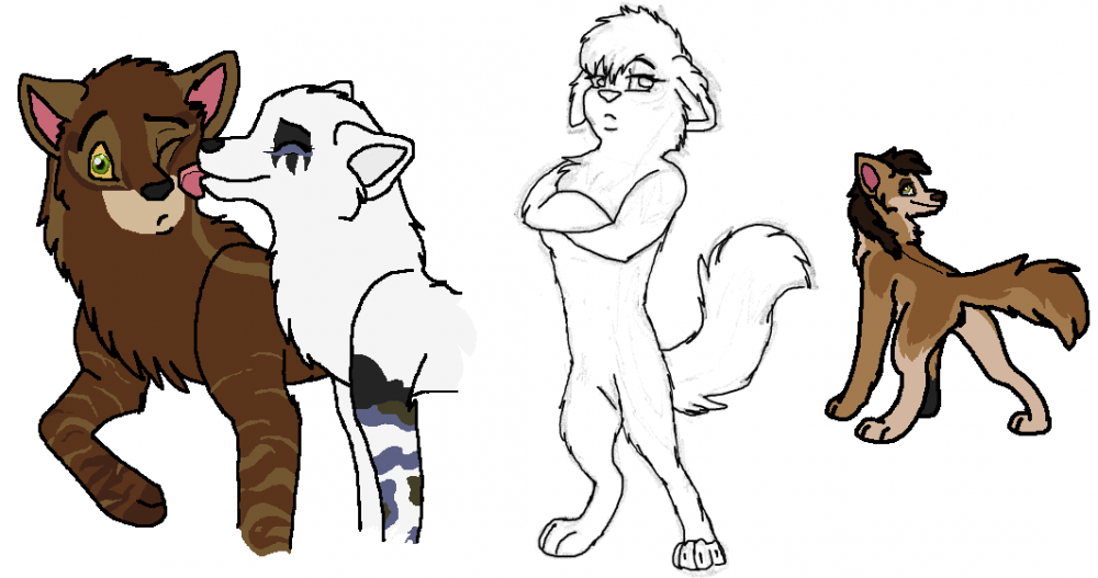 drawlings