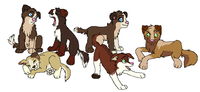 the new brood