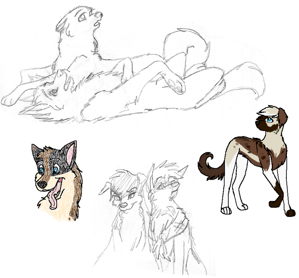 Yus, More scraps.