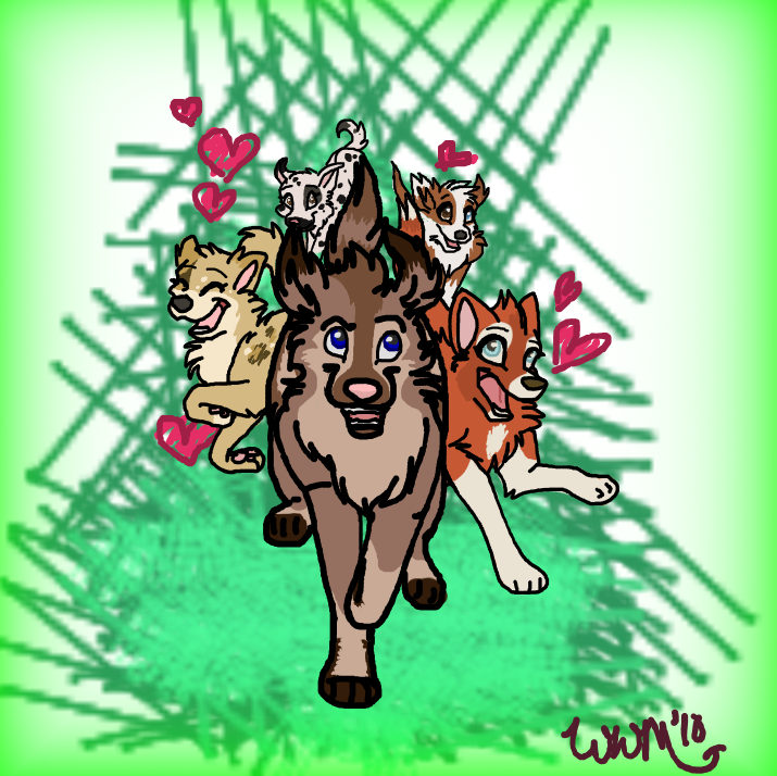 Street Dog's request