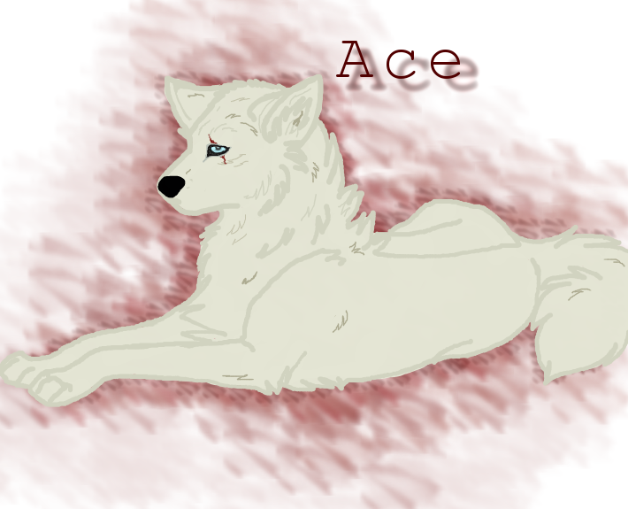 Laateee Art Trade D88
