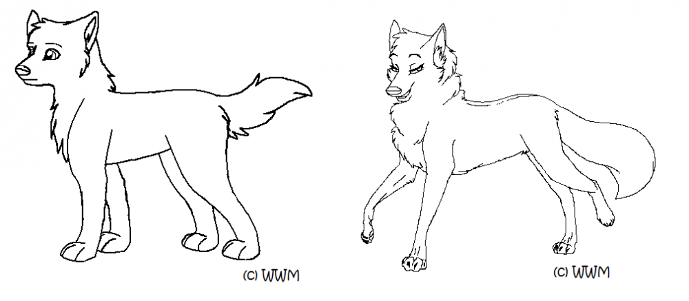 DEEEERP lineart